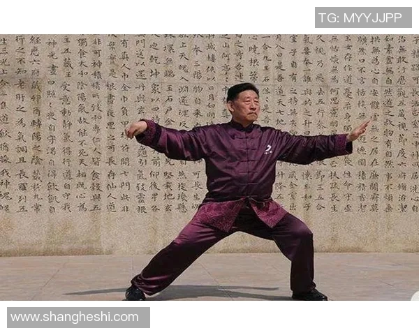 陈氏太极拳拳谱的传承与发展探讨及其在现代健身中的应用 陈氏太极拳拳谱的传承与发展探讨及其在现代健身中的应用