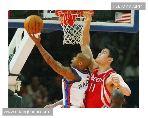 马布里当选中国篮协副主席，将推动中国篮球事业发展