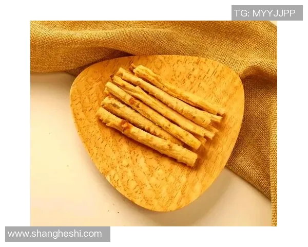 掌握24式养生太极剑的精髓与技巧提升身心健康的全面指南