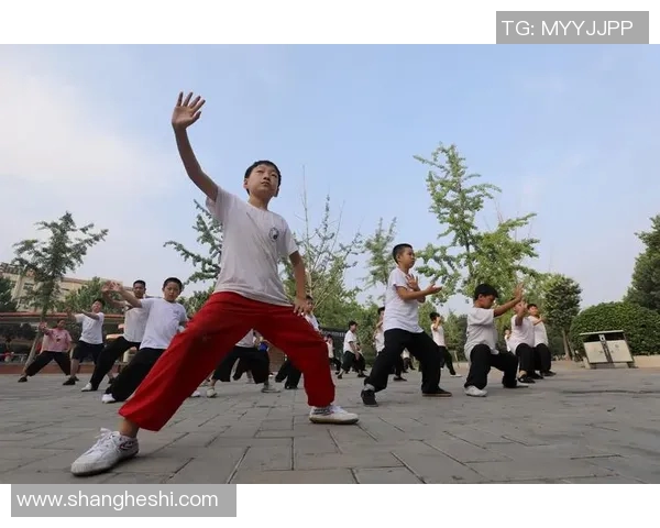 温县太极拳的传承与发展探索：传统武术在现代社会中的新生机