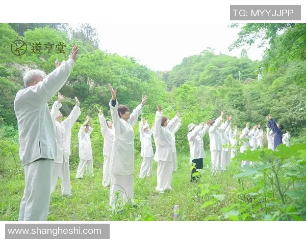 太极拳修炼之路：探寻身心合一的最高境界与智慧