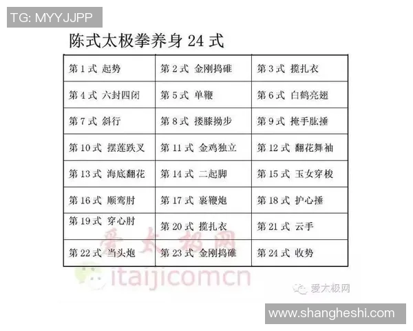 太极拳各大流派的特点与传承探讨