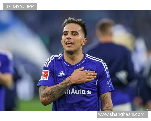 沙尔克客场不败延续,继续稳坐德甲榜首位置