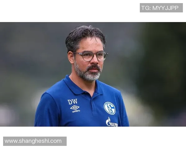 沙尔克04阵容空虚主帅战术悬念待解