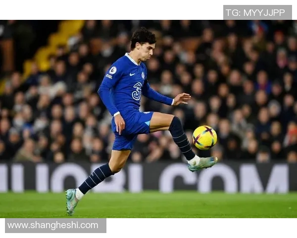 切尔西宣布签下新援，球队实力再添一员