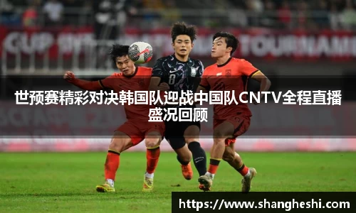 MK体育官网入口