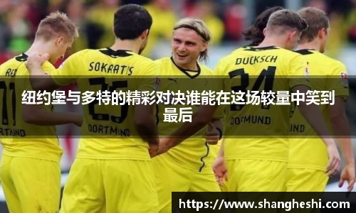 MK体育官网入口