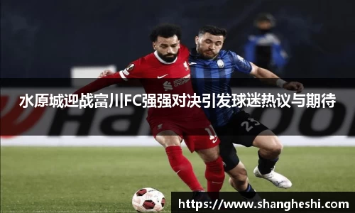 MK体育官网入口