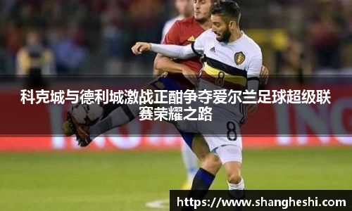 MK体育最新地址