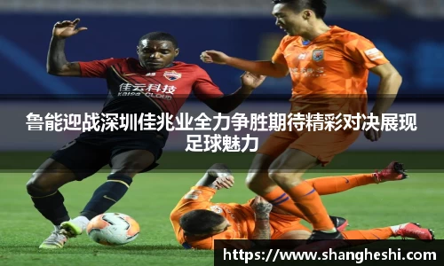 MK体育手机网页版登录